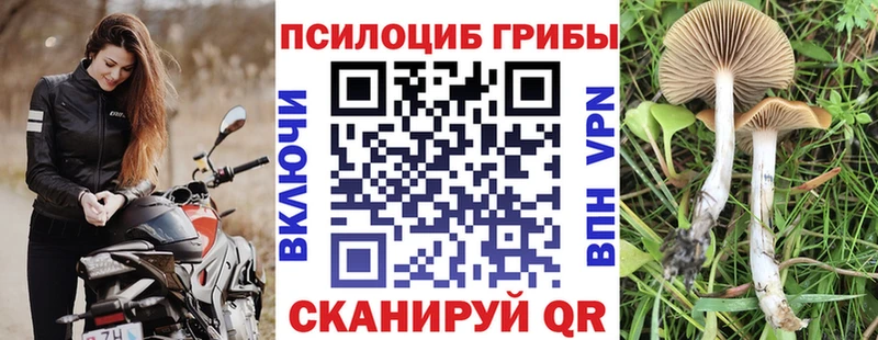 наркота  Тара  дарк нет наркотические препараты  Галлюциногенные грибы ЛСД 